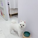 이뻐지는산책 이미지