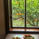 난산리-9 이미지