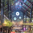 더티트렁크 이미지