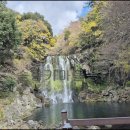 카멜리아힐 이미지