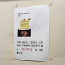 네오삼인