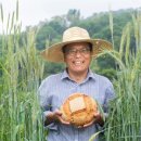 김성윤농장 이미지