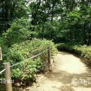 서리풀공원1-20 이미지