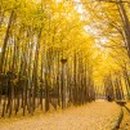 서울숲12 이미지