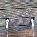 뒷골참샘 이미지