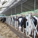 서해목장 이미지