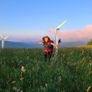 삼영목장 이미지