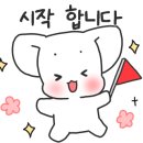 궁참치 이미지