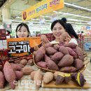 영암농협하나로마트 이미지