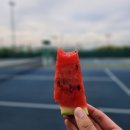 그린테니스아카데미 네이버블로그