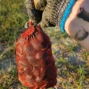 해밀테라스펜션민박 이미지