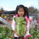 한국창의어린이집 이미지