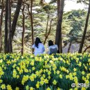 소나무 한우 목장 이미지