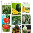 듬뿍농원 네이버블로그