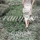 코지카페 이미지