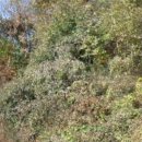 자개1리 마을회관 이미지