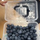 지완목장 | 25.7 💙💦✈️