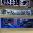 나연횟집