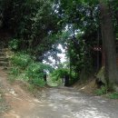 상무초교 이미지