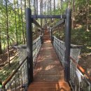 순환로 405번길 | 서울 도심 속 숨겨진 단풍 명소 남산하늘숲길 주차장 산책코스 가는 방법