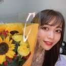 아오이(Aoi) 티스토리