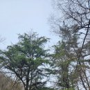 소당 한옥 펜션 | 용봉산 최고봉을 찍다!!