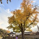 예림카페 이미지