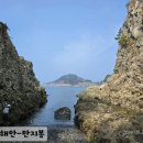 송전농장 이미지