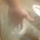 스위트팰리스오피스텔 | 명지 스위트펠리스 화장실 청소 후기 ㅣ이건 못 지운다 싶었던 니코틴… 그래도 결국엔 해냈습니다