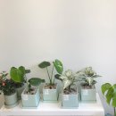 지에스25 월배삼정점 이미지