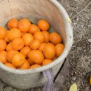 야베스농장 이미지