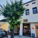 월성여인숙 이미지