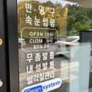 비치아이