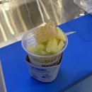 롯데쇼핑(주)롯데마트 롯데몰수지점 | [롯데몰 수지점] 남도 분식 / 요거트 월드 팝업 후기