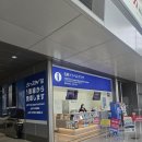 인앤아웃약국 | [260409~260412] 효도여행으로 다녀온 시즈오카&나고야 여행기①