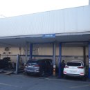 블루핸즈 이미지