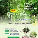 솔티 이미지