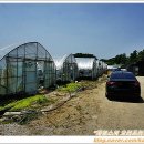 채원농장 이미지