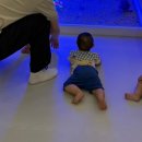 다링전자 | 안양 베이비카페 비교추천, 베베앙쥬 바니바니 직접다녀온 후기!