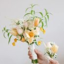 온리유플랜트