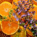 순연농장 이미지