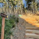 달포큰길 이미지