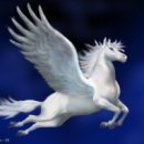 페가수스 이미지