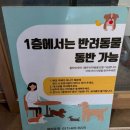 동서가구시흥계수점 | 물왕 저수지 카페 [플라워팟카페&베이커리] 내돈내산 솔직후기