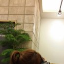 토프레소홍성법원점 이미지