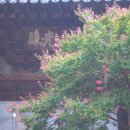 신흥사 대광전 이미지