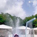 다이닝포레