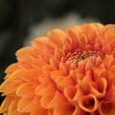 크리스탈스크린골프장 이미지