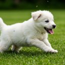 우리들온누리약국 이미지