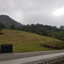 법흥사석분 이미지